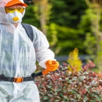 Smoke Odour Removal 0